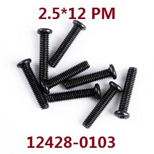 Wltoys 12423 12428 RC Car spare parts screws 2.5*12 PM (0103)